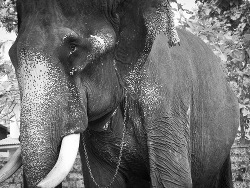 Projet Docker ELKSIG